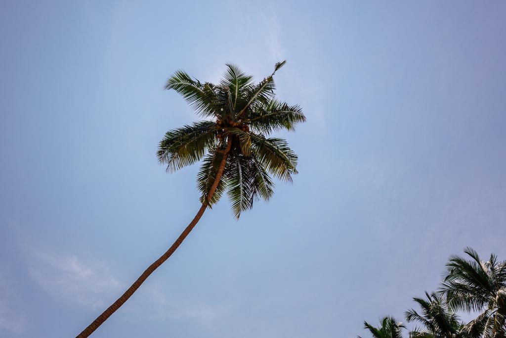 Blue Parrot Beach Villa Ambalangoda  Ngoại thất bức ảnh