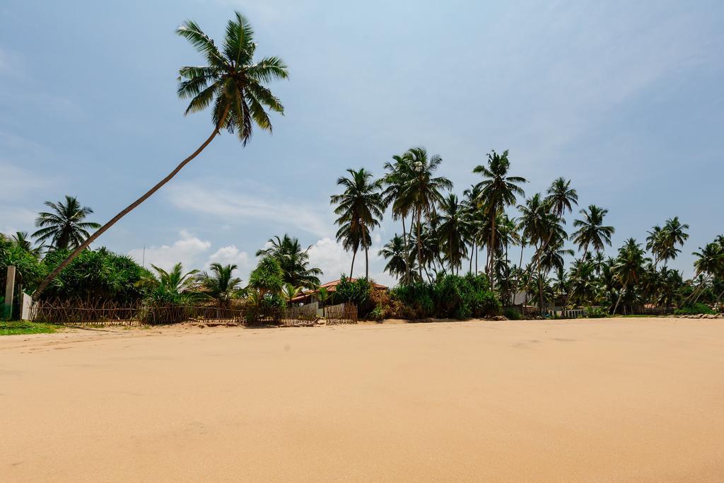 Blue Parrot Beach Villa Ambalangoda  Ngoại thất bức ảnh