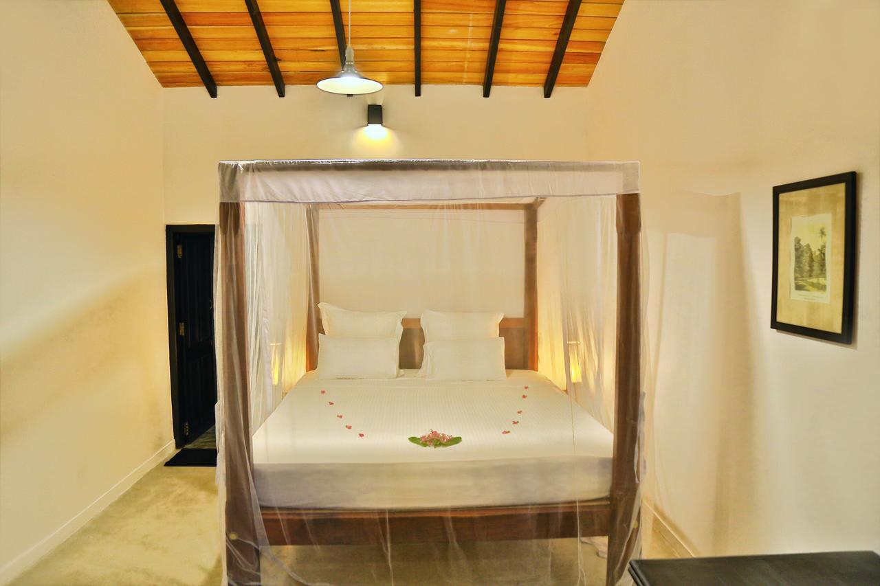 Blue Parrot Beach Villa Ambalangoda  Ngoại thất bức ảnh